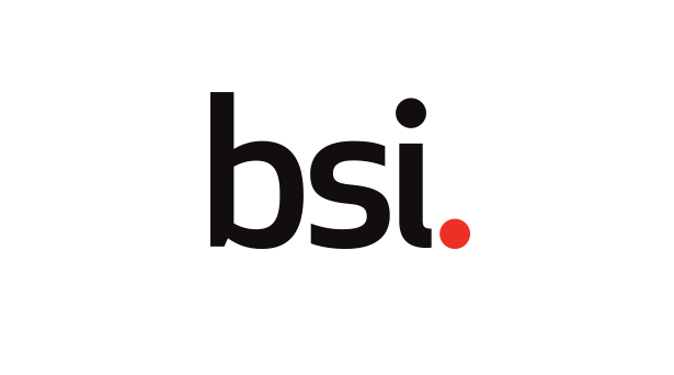 https://www.bsigroup.com/en-US/our-services/consulting/